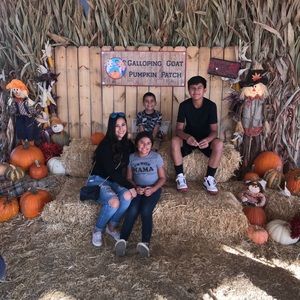 Meet your Posher, Felicia